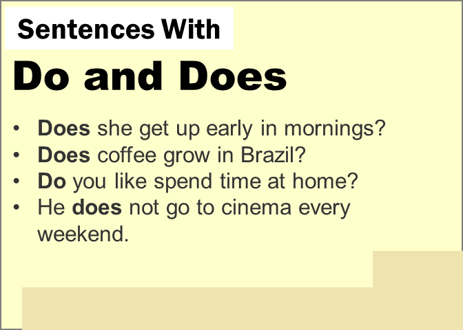 do-and-does-sentences-examples-english-wale