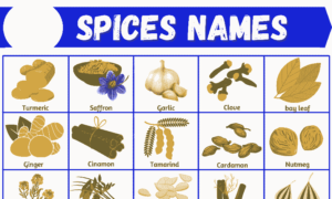 List of All Spices Name