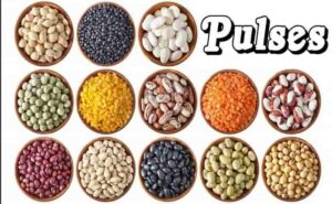 List of Pulses Name