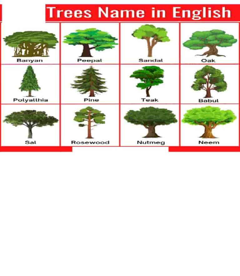 list-of-trees-name – English Wale