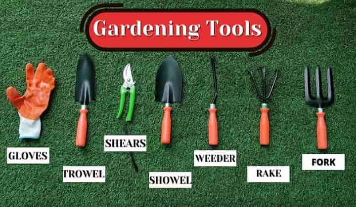 Tools Name In English